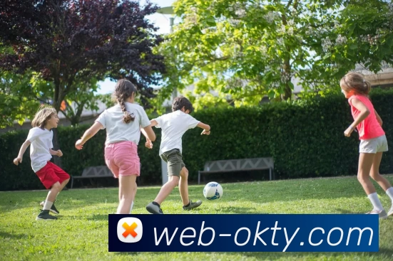 OK体育门户平台生态图