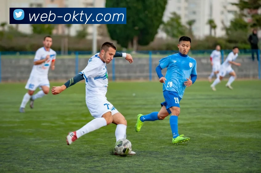 OK体育门户全站App